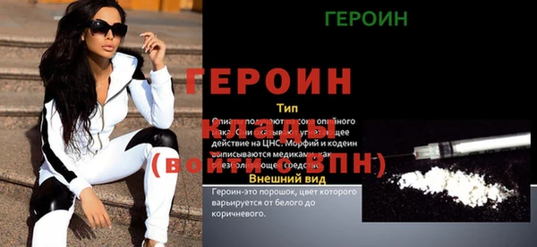 сатива Ельня