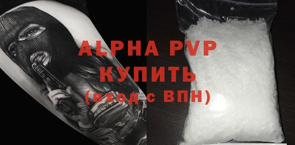 сатива Ельня