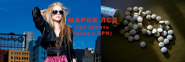 сатива Ельня