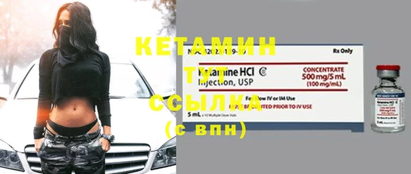 сатива Ельня