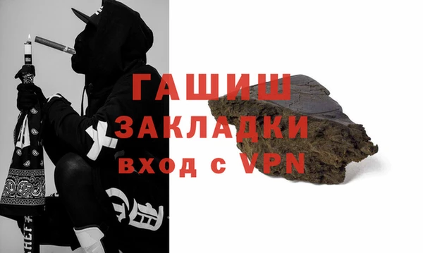 сатива Ельня
