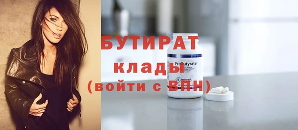 сатива Ельня
