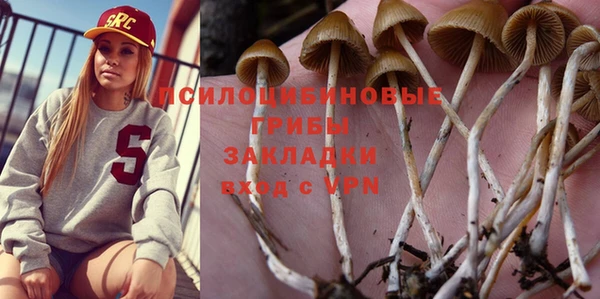 сатива Ельня