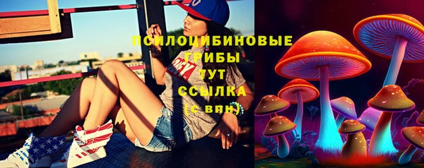 сатива Ельня