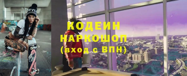 сатива Ельня