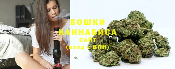 сатива Ельня